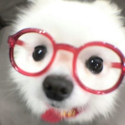 aqahaaa10781's profile picture