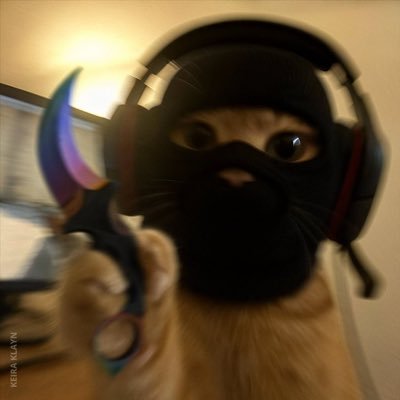 shahh's profile picture