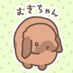 赤色うさぎ's profile picture