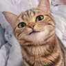 Profilbild von John Doe