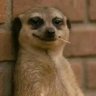 Akolade's profile picture