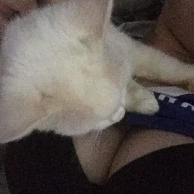 Poyy.'s profile picture