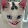 Best profil fotoğrafı