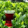 Фото профиля alİze'R