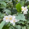 Фото профиля Ladydinamita
