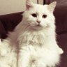 박주현's profile picture