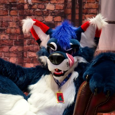Aethel 🇬🇧 🐺's profile picture
