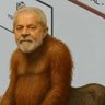 Anarcocapitalista's profile picture