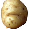 갬자🥔 的头像