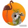 هيا's profile picture