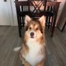 RJ's profile picture