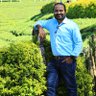 Dr.RAVI KUMAR's profile picture