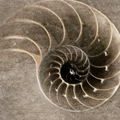 4too_m0's profile picture