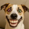Hafızın Zikri's profile picture