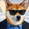 Shiba Rivera 🦊 的头像