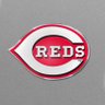 RallyRedsMedia profil fotoğrafı