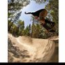 James Tranch profil fotoğrafı