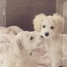 𓆛℃hiro𓆛 profil fotoğrafı