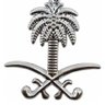 🇸🇦 𝔄𝔟𝔡𝔞𝔩𝔦 的头像