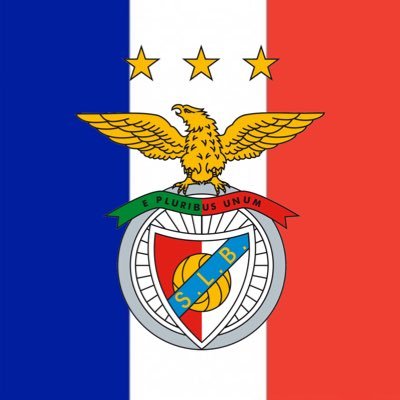 SL Benfica 🇫🇷's profile picture