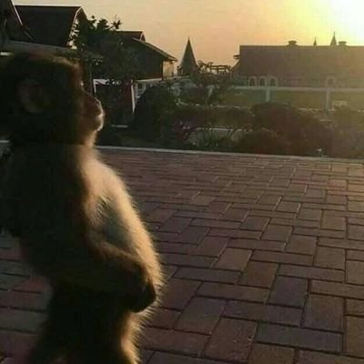 kkkksigm's profile picture
