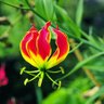 Yahwe. profil fotoğrafı