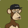 Sehza Ertas's profile picture