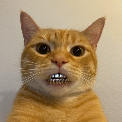 Hiddin Treasures's profile picture