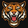Фото профиля Tigers Resolve