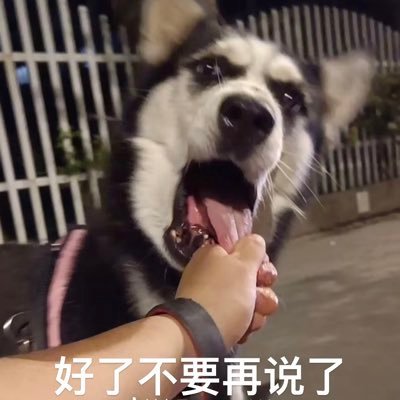 whang0813's profile picture