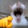 Profilbild von aimelleji