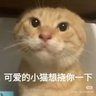 Profilbild von Super cat
