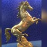 Фото профиля هيا....فقط ..