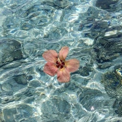 ❁✿❀'s profile picture