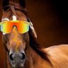 Geronimo's profile picture