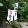 山本's profile picture