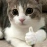 teru's profile picture