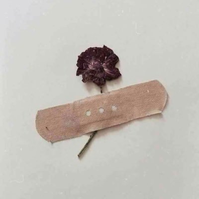 Diana ꕥ's profile picture