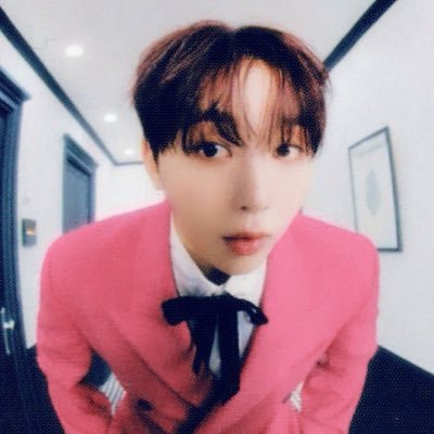 asexuals4woozi ♡'s profile picture