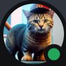 Gaijin profil fotoğrafı