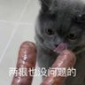 Фото профиля 其实有点睡睡睡