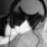 .'s profile picture