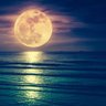Luna 的头像