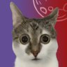 Gatonenseᶠᶠᶜ 🔑🌎's profile picture