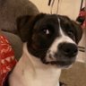 zeeztewo's profile picture