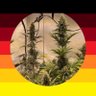 IM_rafter 🇩🇪🥦 的头像