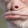 azn_menace profil fotoğrafı