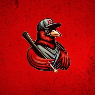Redbirdriot's profile picture