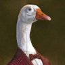 Profilbild von Pato cerúleo 🦆🦢🦆🦢