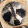 Mark's profile picture
